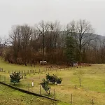 Апартаменты Panoramic House Maggiore Cossogno