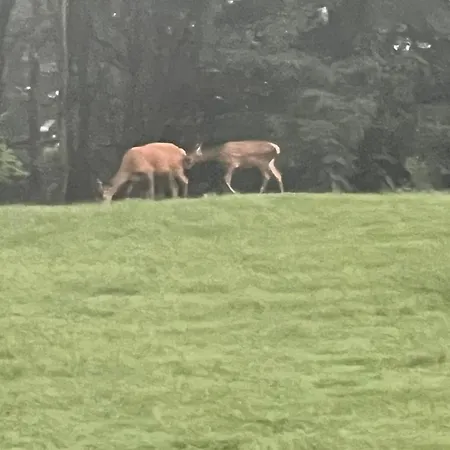 Panoramic House Maggiore Apartamento *