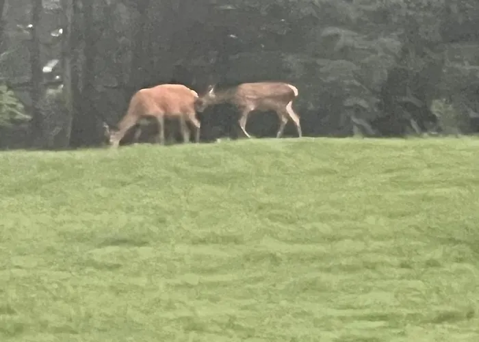 Panoramic House Maggiore Apartamento *